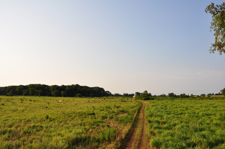 Chino Farms