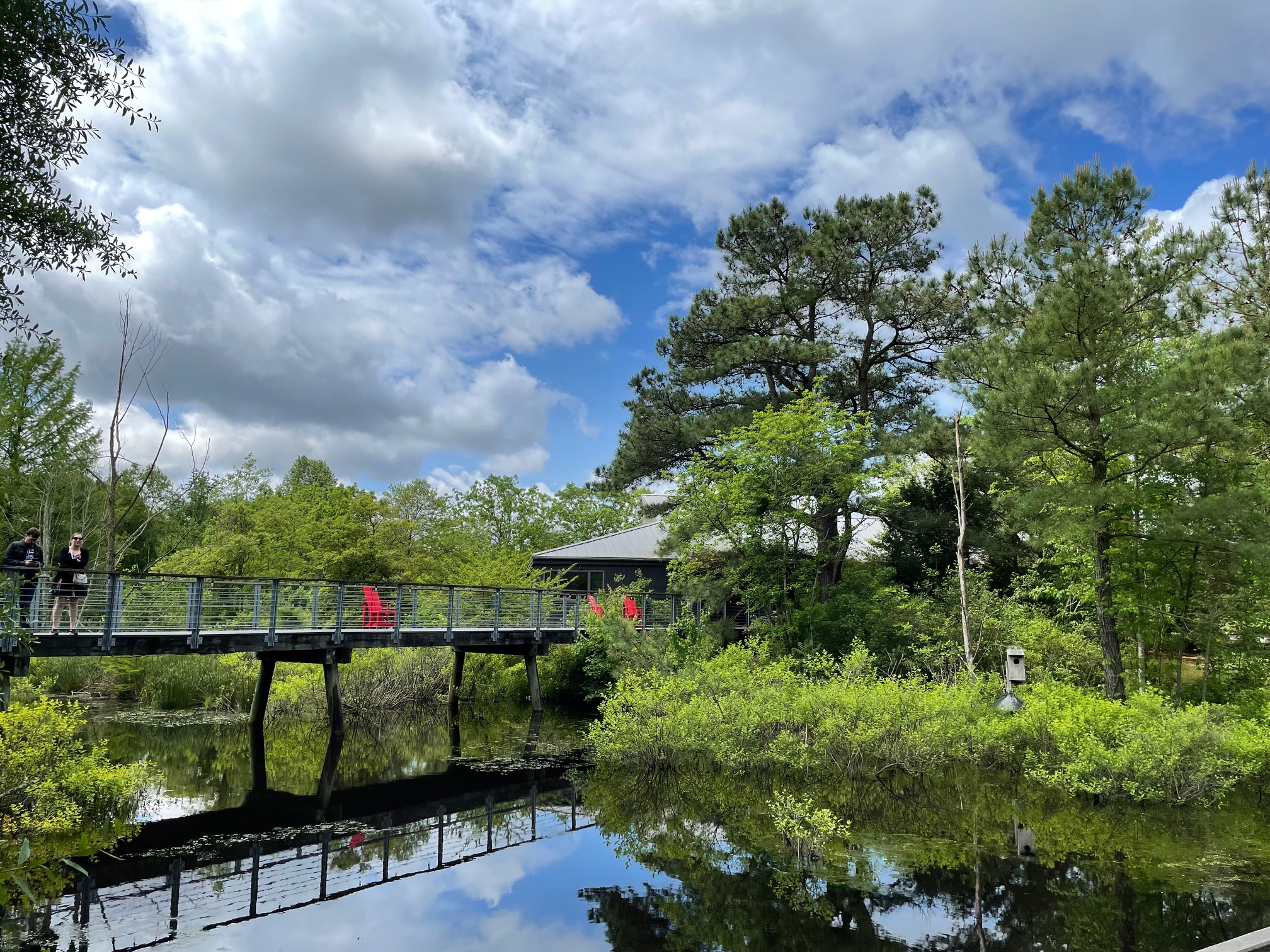 Adkins Arboretum